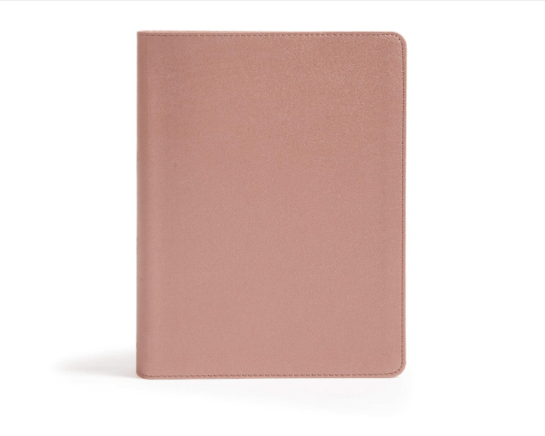 CSB She Reads Truth Bible, Rose Gold LeatherTouch, Black Letter, Full-Color Design, Wide Margins, Journaling Space, Devotionals, Reading Plans,...