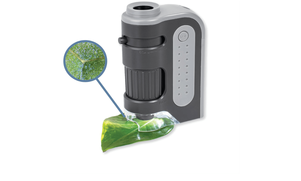 
Carson MicroBrite Plus 60x-120x Accurate LED Lighted Pocket Microscope, Portable Educational STEM Toy, Mini Handheld Microscope for Student Science Lab (MM-300)