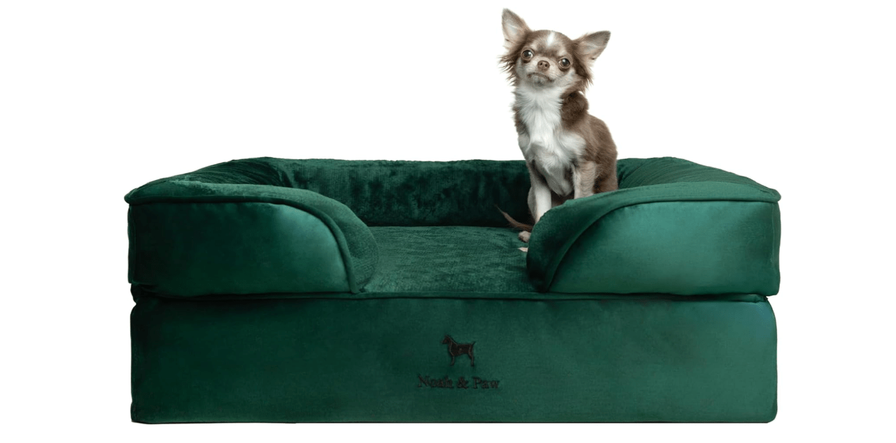 NOAH & PAW Dog Bed, 28x23x11 Inch, Orthopedic Dog Beds for Medium Size Pets, Eggshell Memory Foam Infused with Cooling Gel, Inner Cover, Waterproof,...
