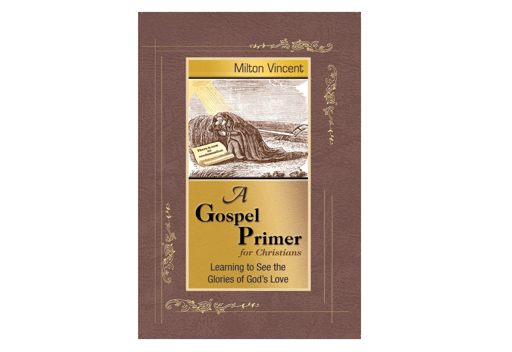 A Gospel Primer for Christians: Learning to See the Glories of God's Love
