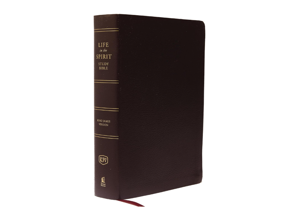 KJV Life in the Spirit Study Bible
