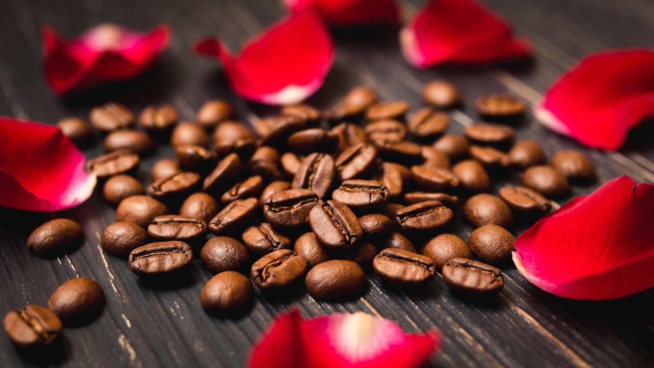 Close-up of roasted Romeo and Juliet Colombian coffee beans with red rose petals for a romantic literary touch