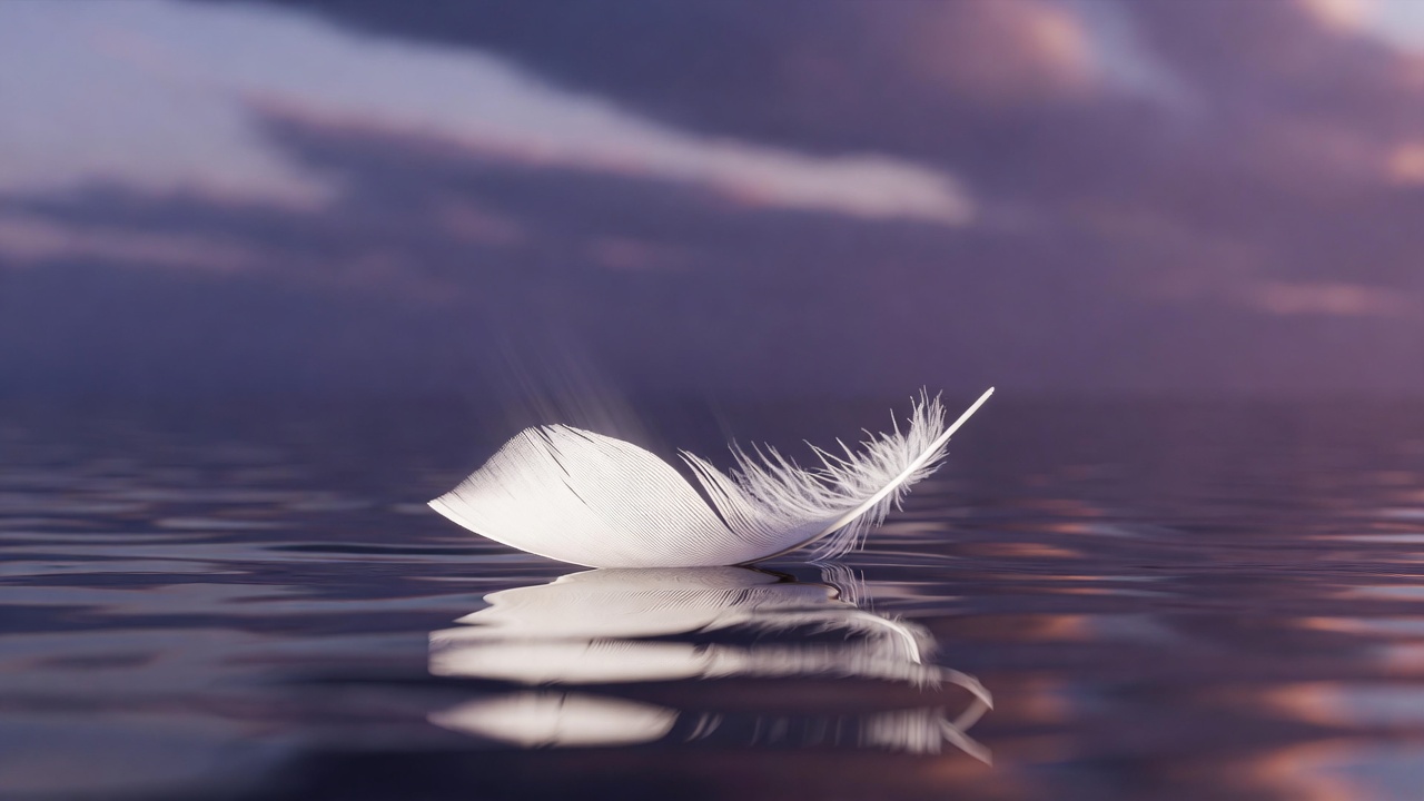 Ethereal white feather floating on twilight water representing acceptance and peaceful release after loss.