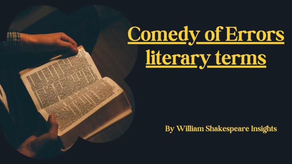 Comedy of Errors literary terms