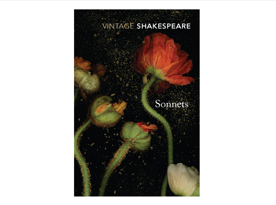 Sonnets (Vintage Classics)