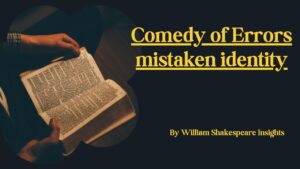 Comedy of Errors mistaken identity