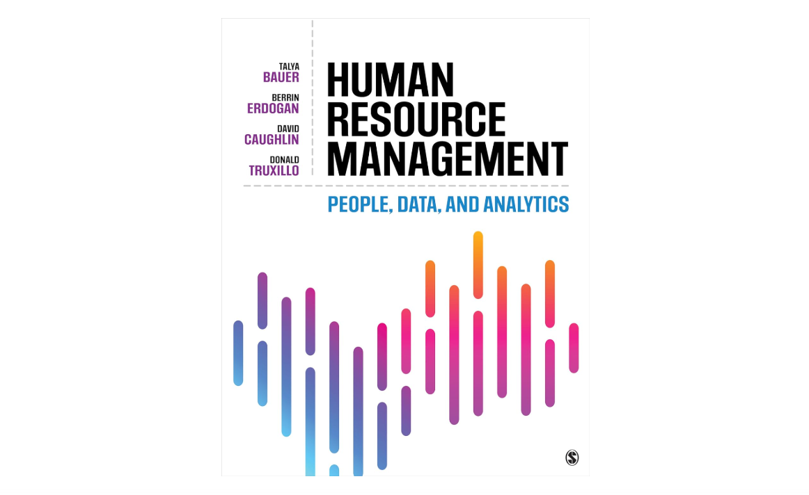 Human Resource Management: People, Data, and Analytics
