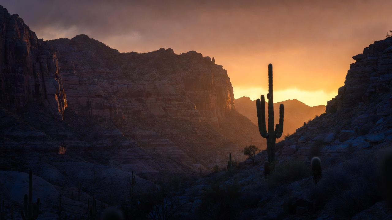 Arizona desert symbolizing Shakespearean themes of young love and societal boundaries in Romeo and Juliet law context