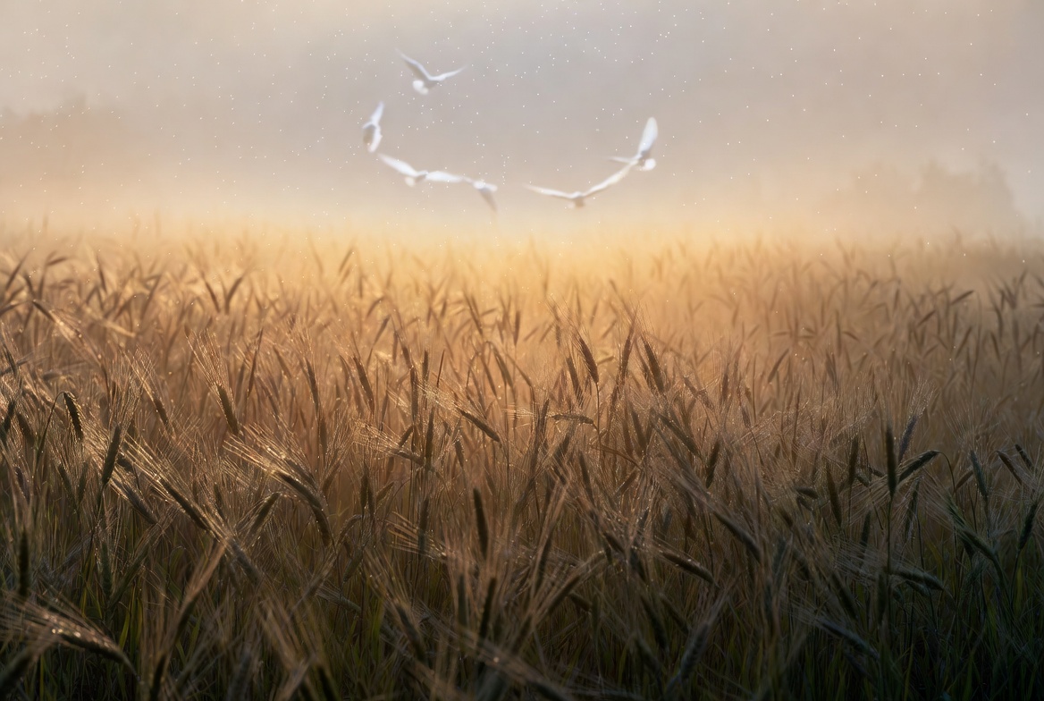 Full text of poem Do Not Stand at My Grave and Weep illustrated with peaceful nature elements representing the poem's metaphors