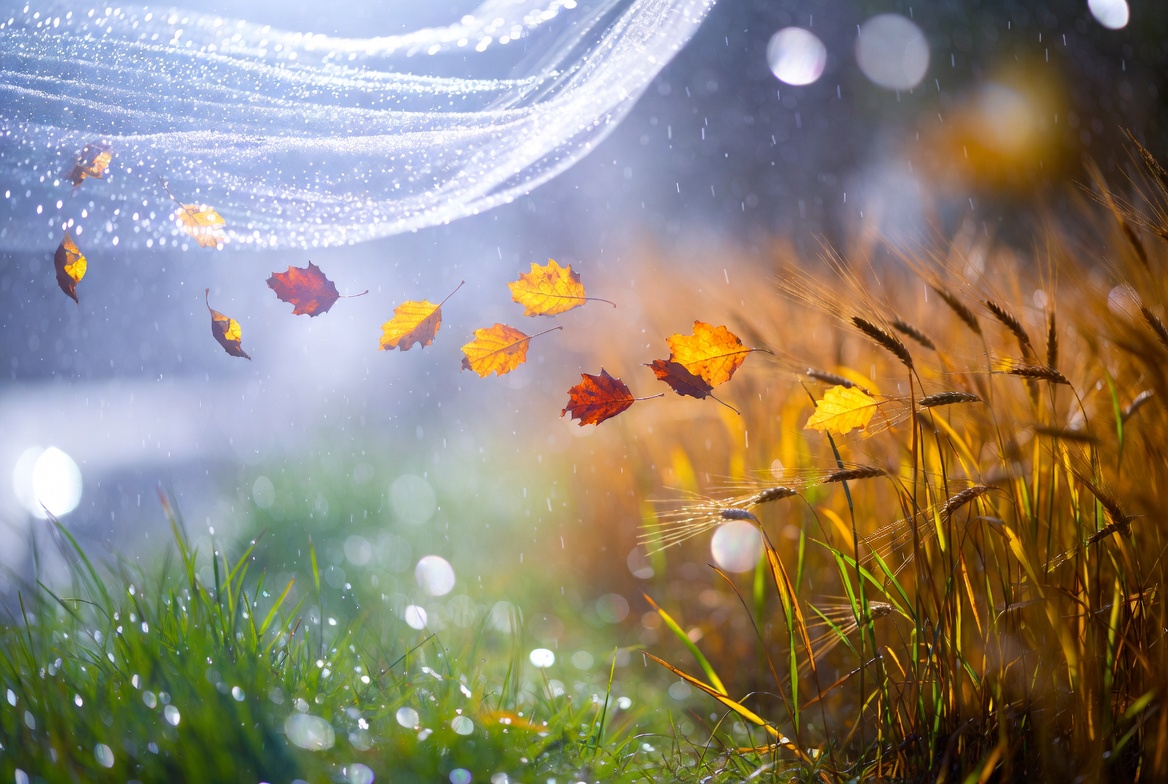 Line-by-line visual breakdown of Do Not Stand at My Grave and Weep showing nature metaphors like winds, snow, grain and rain