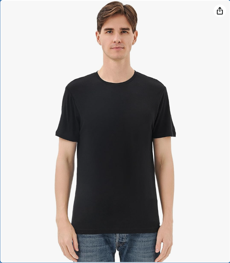 Merino Protect 100% Merino Wool T Shirts for Men Odor Resistance Base Layer Hiking Travel T-Shirt Soft Undershirt
