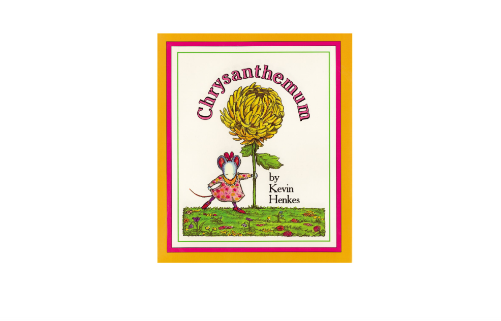 Chrysanthemum 1 