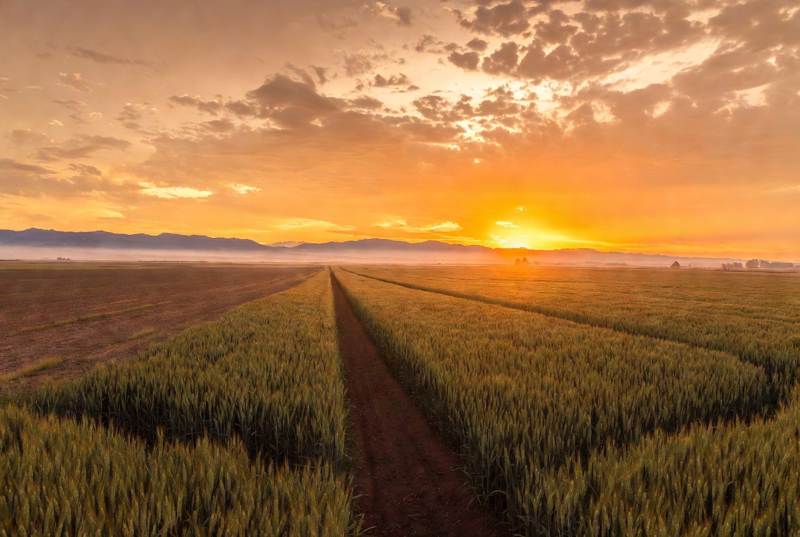 Scenic farmland and agricultural landscape around Othello Washington