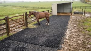 horse paddock mud control